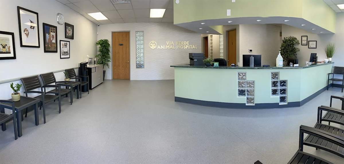 Via Verde Animal Hospital